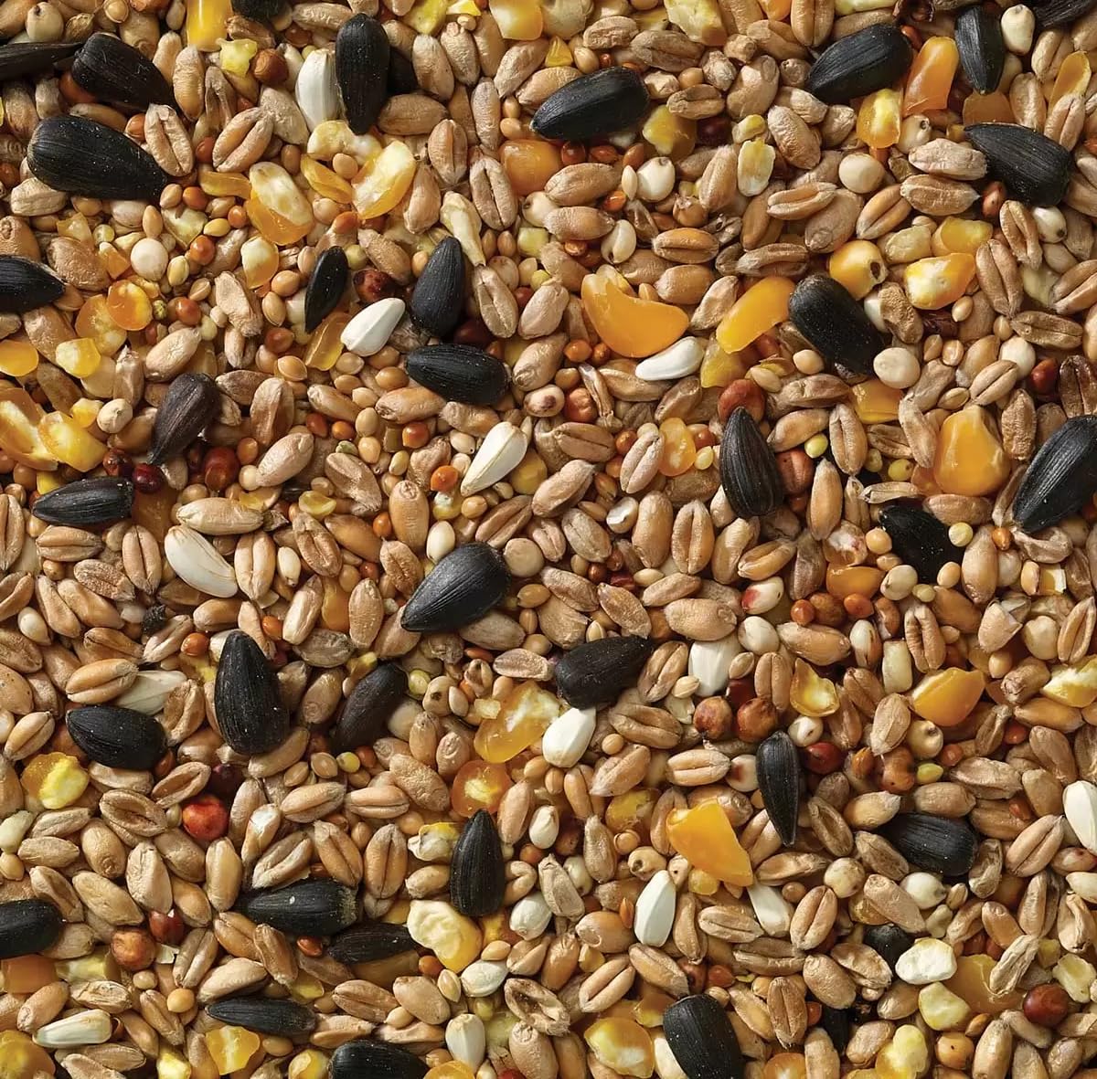 Cibo per uccelli selvatici di qualità di conservazione, 12,6 kg | NAEM