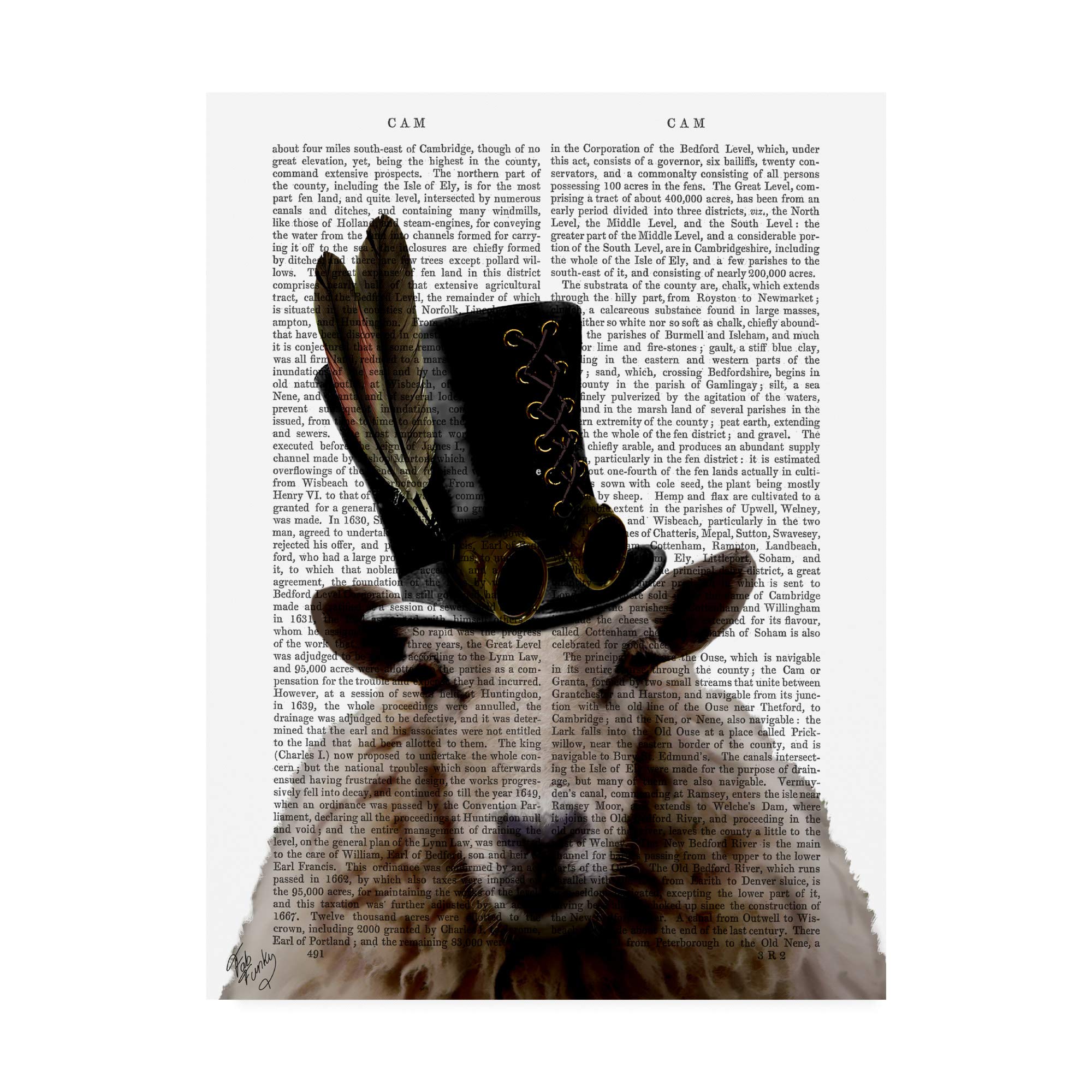 sheep♪ Amazon.com: Genuine Sheepskin Seat Cover Lambskin Seat Cover