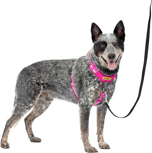 PetSafe Easy Walk Comfort No-Pull Dog Harness - Better Walk