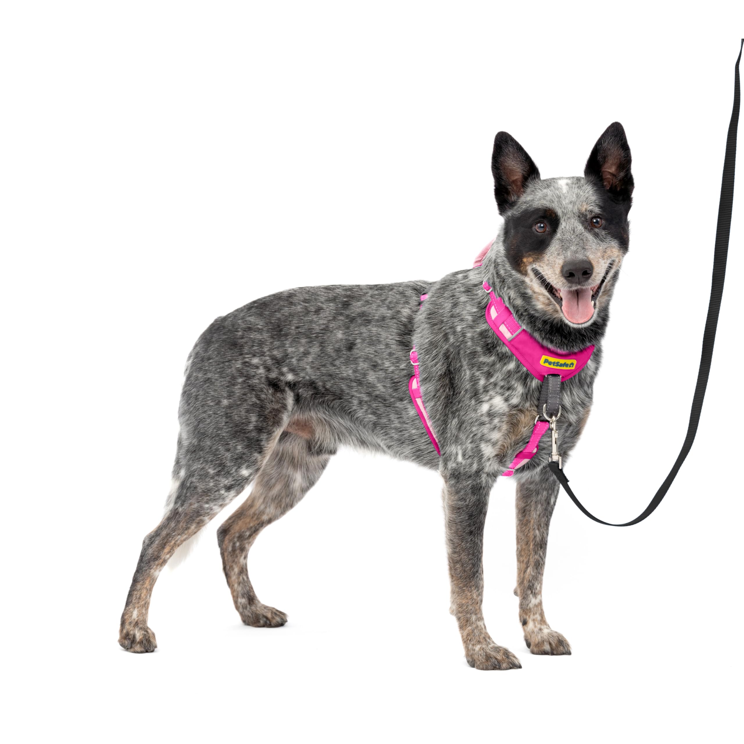 PetSafe Easy Walk Comfort Dog Harness