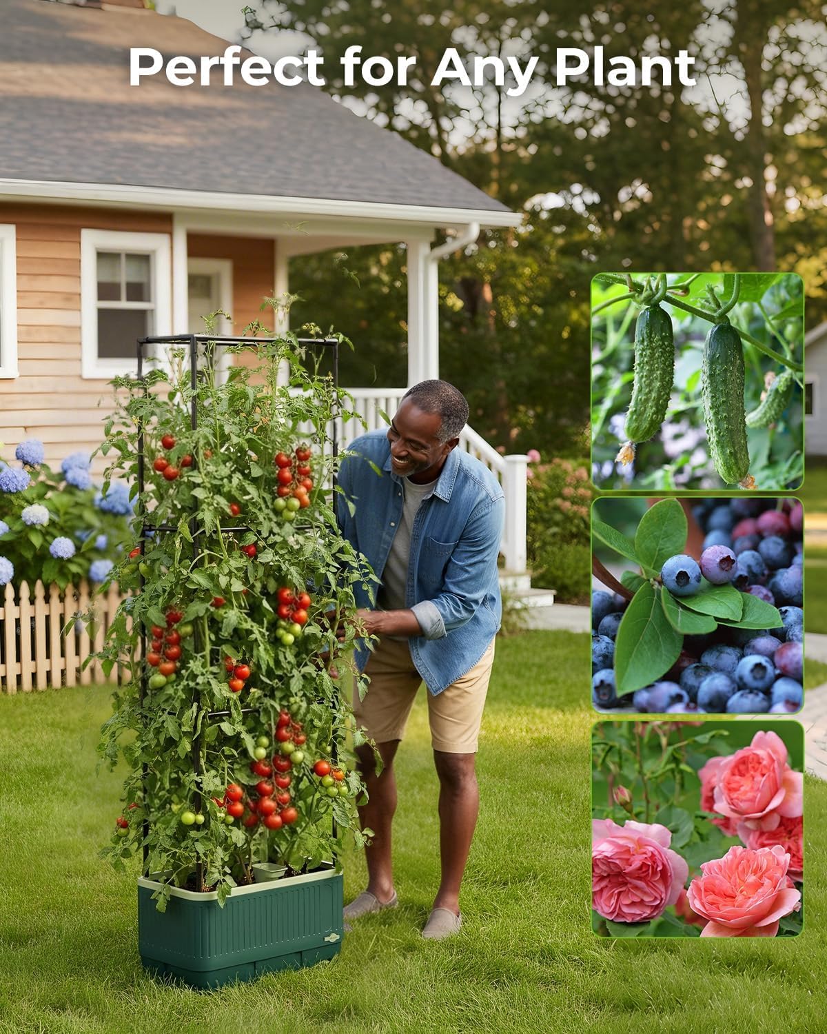 2 Pots à tomates avec tuteur, bac à Plantes Auto-irriguant de 130 cm avec Treillis, Treillis de Jardin avec jardinière, Potager surélevé pour Plantes grimpantes
