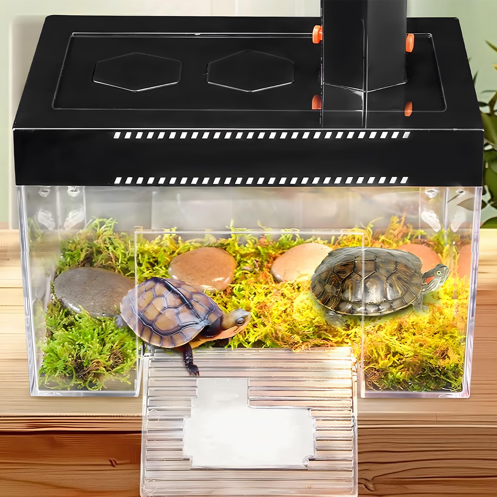 Plateforme de repos pour tortues à hauteur réglable suspendue avec couvercle et rampe, 25×16×16 cm, petit enclos d'aquarium transparent en PC au-dessus du réservoir pour bébés tortues terrestres