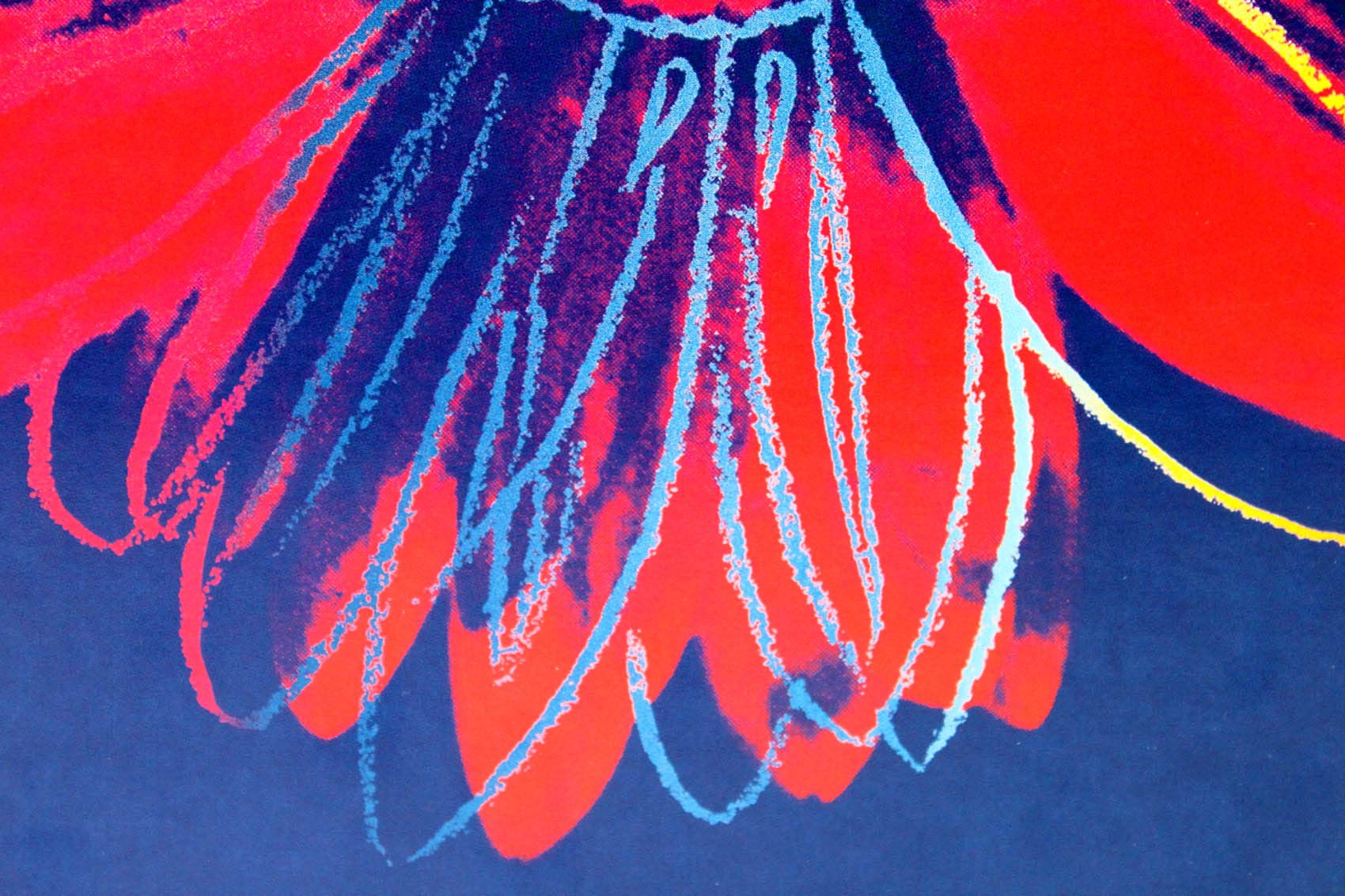 Amazon.co.jp: アートショップ フォームス アンディ ウォーホル