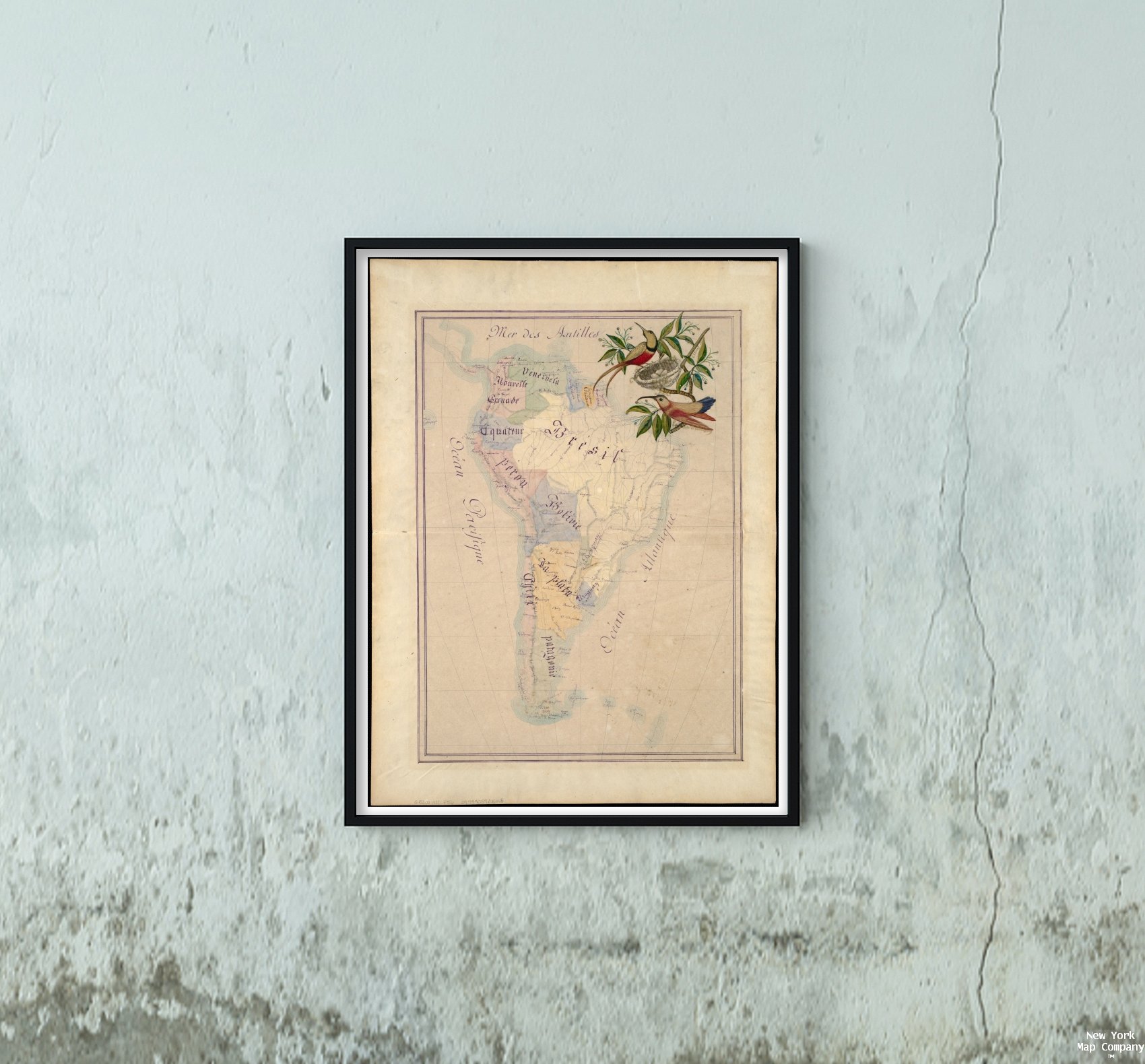 1880 Map AMÉrique du Sud Relief Shown by hachures. Pen-and-Ink and Watercolor. Title obscured by ne|Historic Antique Vintage Reprint|Ready to Frame