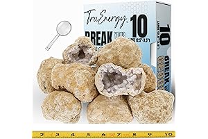 Break Your Own Geodes with Crystals - 10 Large Geodes (2.5-3.5")
