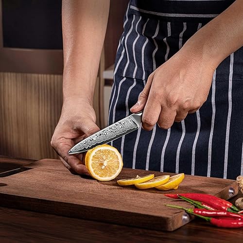 Miniatura 8 de Cuchillo de chef Santoku de cocina, cuchillo japonés VG10 HC de acero inoxidable ultra afilado, cuchillos de chef, utensilios de cocina ergonómicos