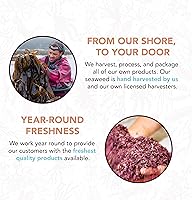 Vista 4 de VITAMINSEA Bladderwrack Algas secas Algas marinas silvestres del Atlántico Norte para aperitivos, condimentos, sopas y ensaladas Rico