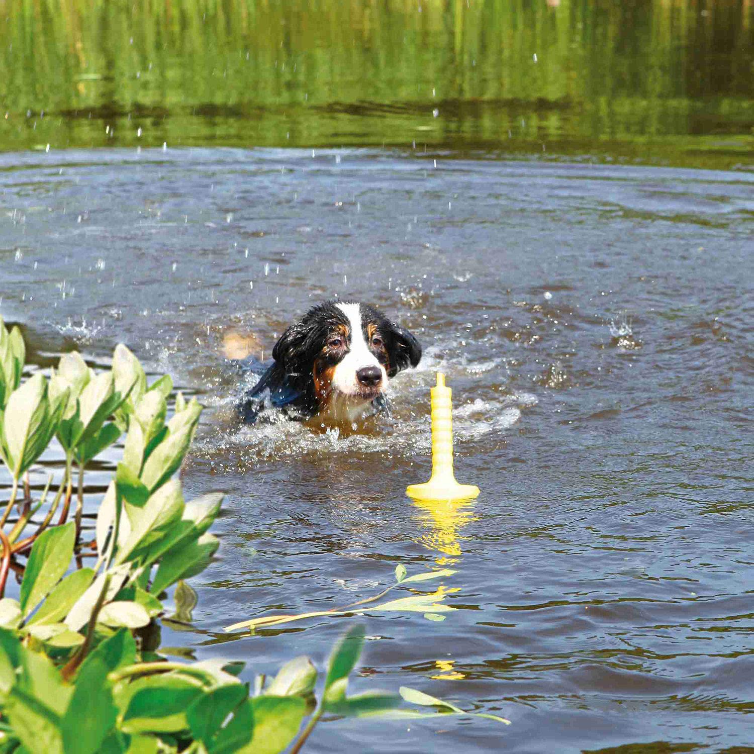 TRIXIE aqua Toy Mot-Aqua jouet aquatique flottant pour chien, 29 cm – jouet pour lancer & rapporter, idéal pour jouer dans l'eau & stimuler l'activité physique