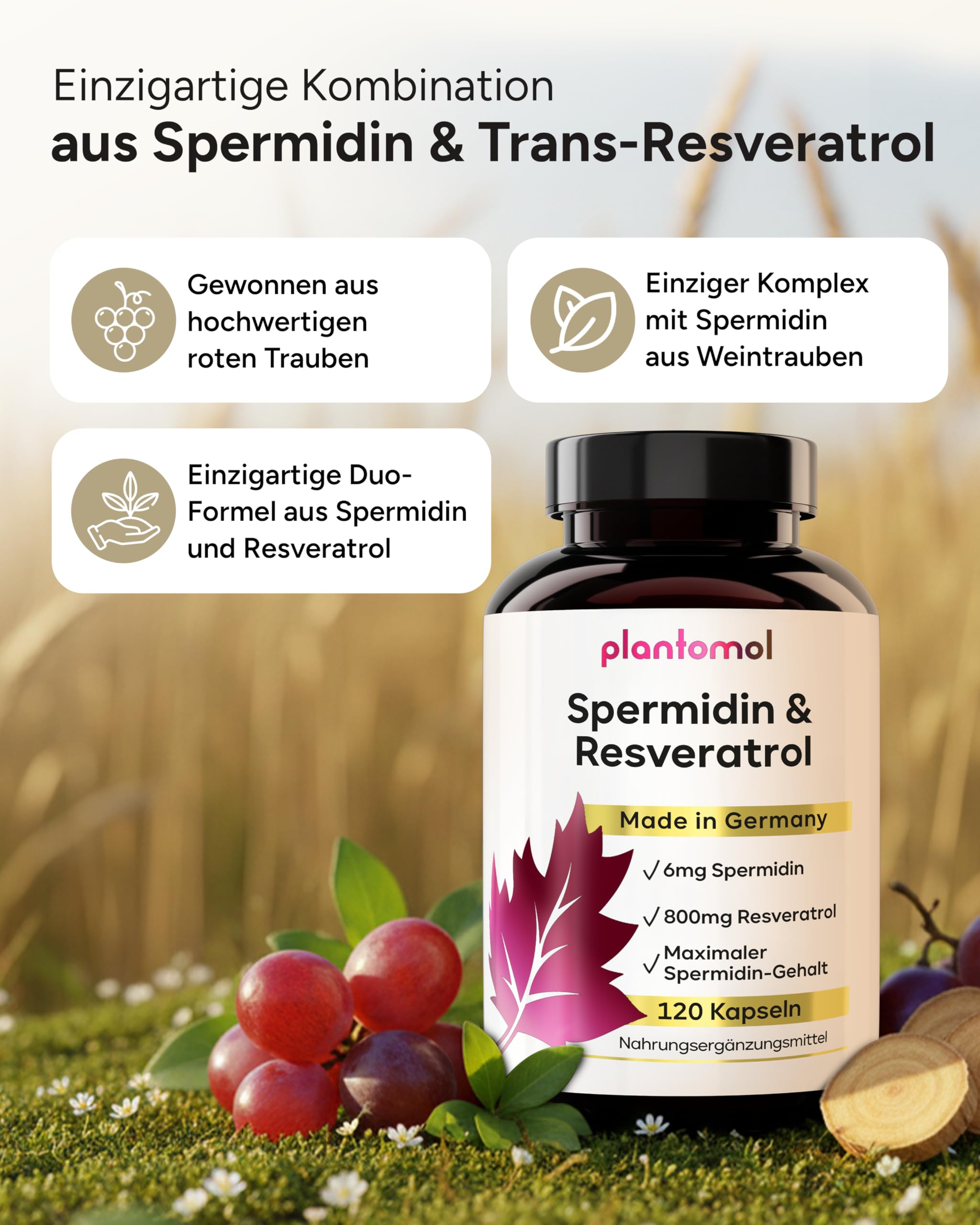 120 Spermidin Kapseln hochdosiert - Spermidin 6mg & 800mg Trans Resveratrol hochdosiert - einzigartige Kombination - 2 Monatsvorrat