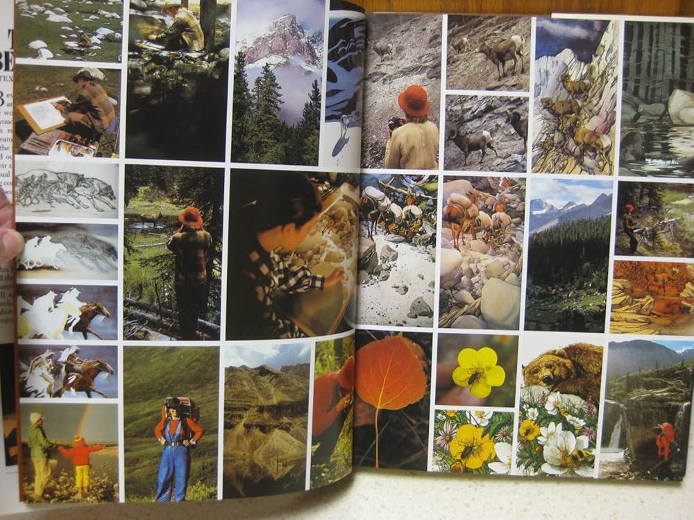 THE ART OF ＢＥＶ　DOOLITTLE The Art of Bev Doolittle: Doolittle, Bev: 9780553070095