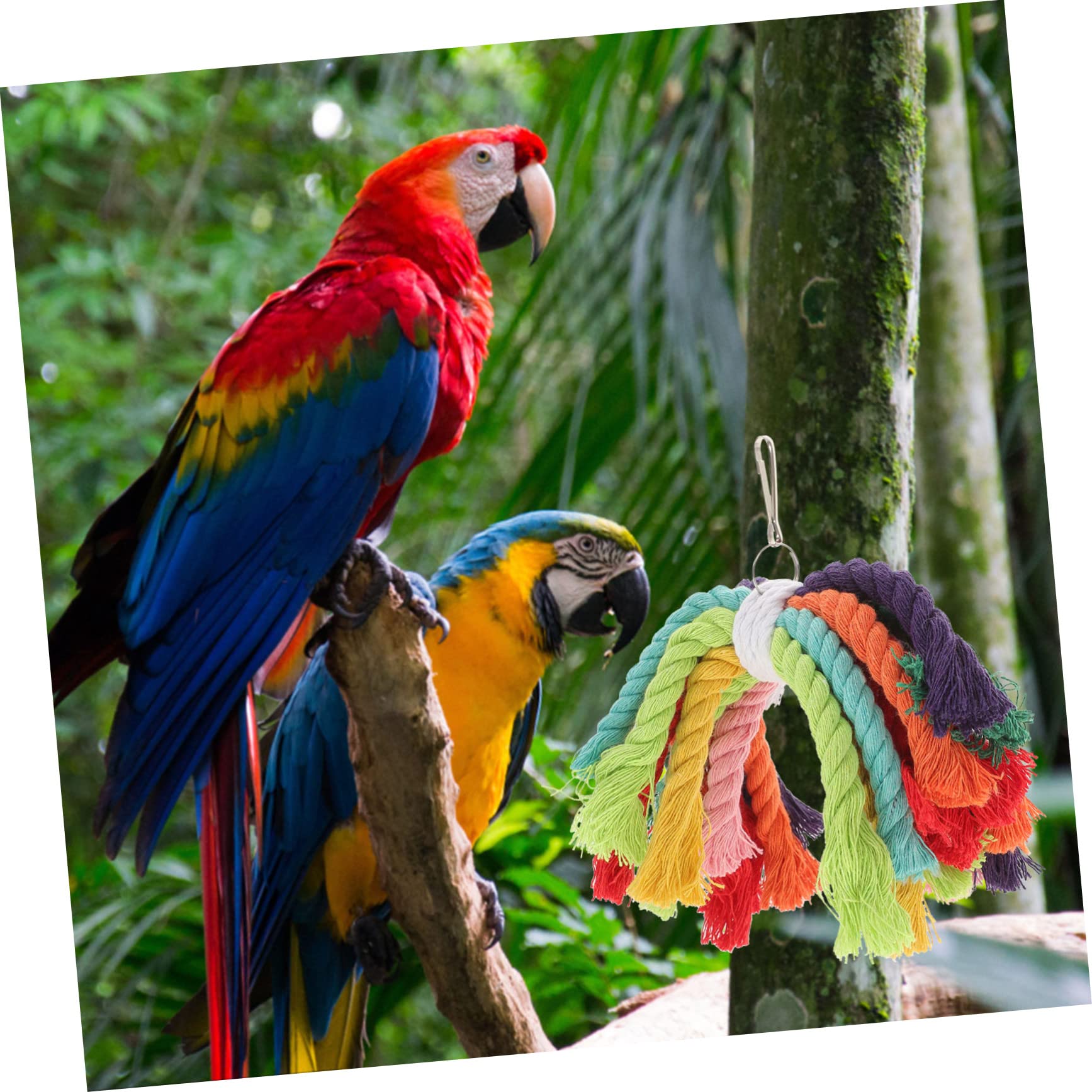 PRETYZOOM 5pezzi Giocattolo Per Uccelli Cotone Con Corda Per Pappagalli Resistente e Sicuro Per Parakeets Cockatiels e Altri Uccelli Di Piccole e Medie Gioco Da Masticare
