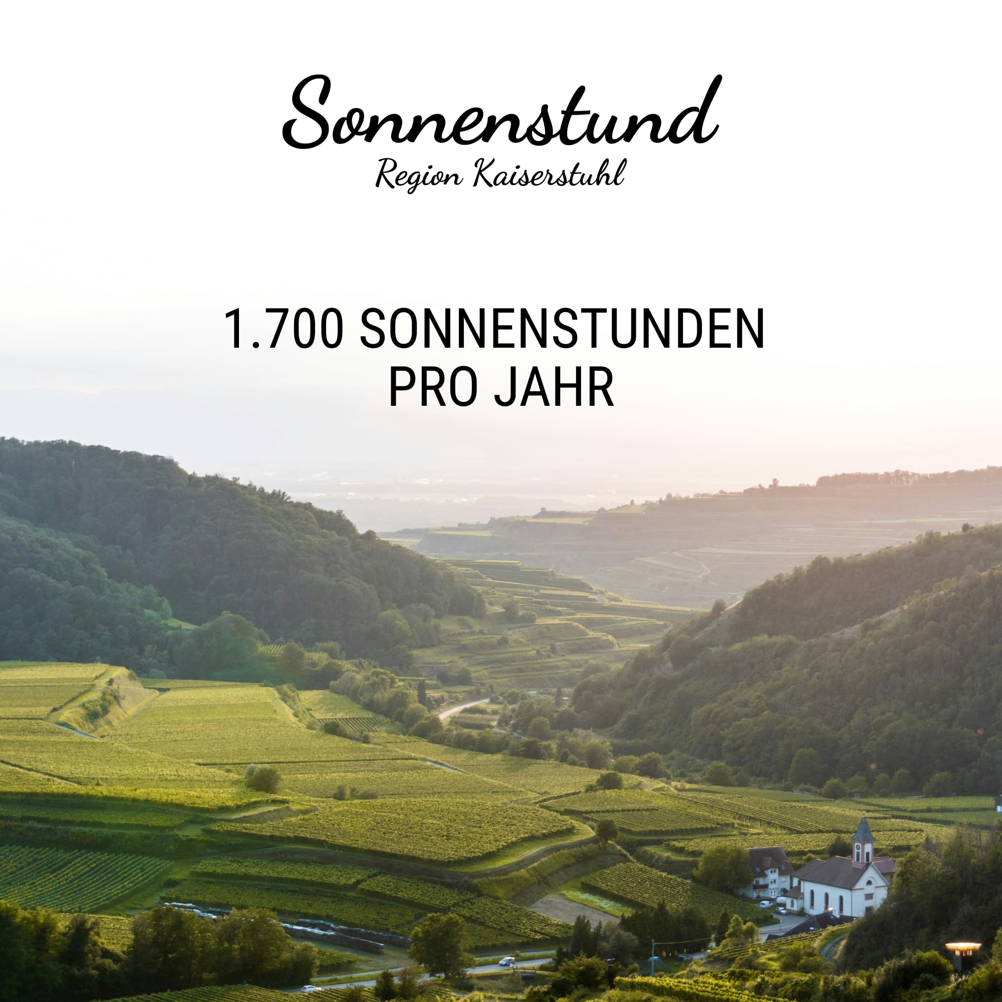 Sonnenstund Grauburgunder trocken 3 Liter Wein-Box - SILBER 2026 AWC Vienna - Zarte Fruchtaromen nach Pfirsich, Apfel und Zitrusfrüchten, Grauer Burgunder QbA vom Kaiserstuhl (2 x 3,0 l Bag-in-Box)