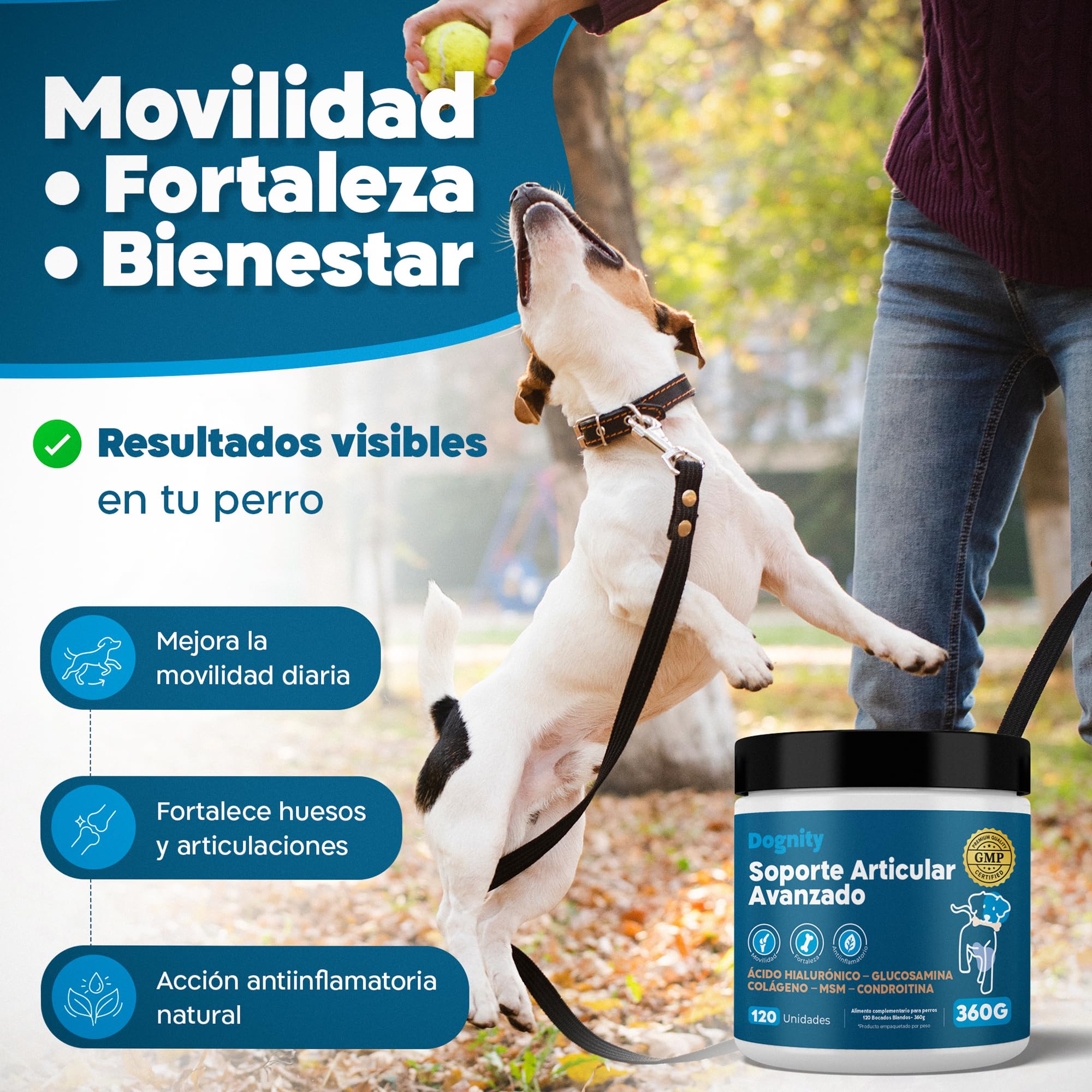 Bocados Blandos Condroprotector Perros Articulaciones Cadera Movilidad GMP+ | Suplemento articular glucosamina condroitina colageno hialuronico natural senior razas grandes 120 bocados 360g