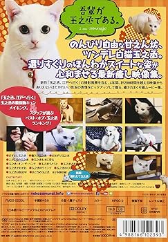 ねこ侍 81Kx7UFKA6L._UF350,350_QL80_.jpg
