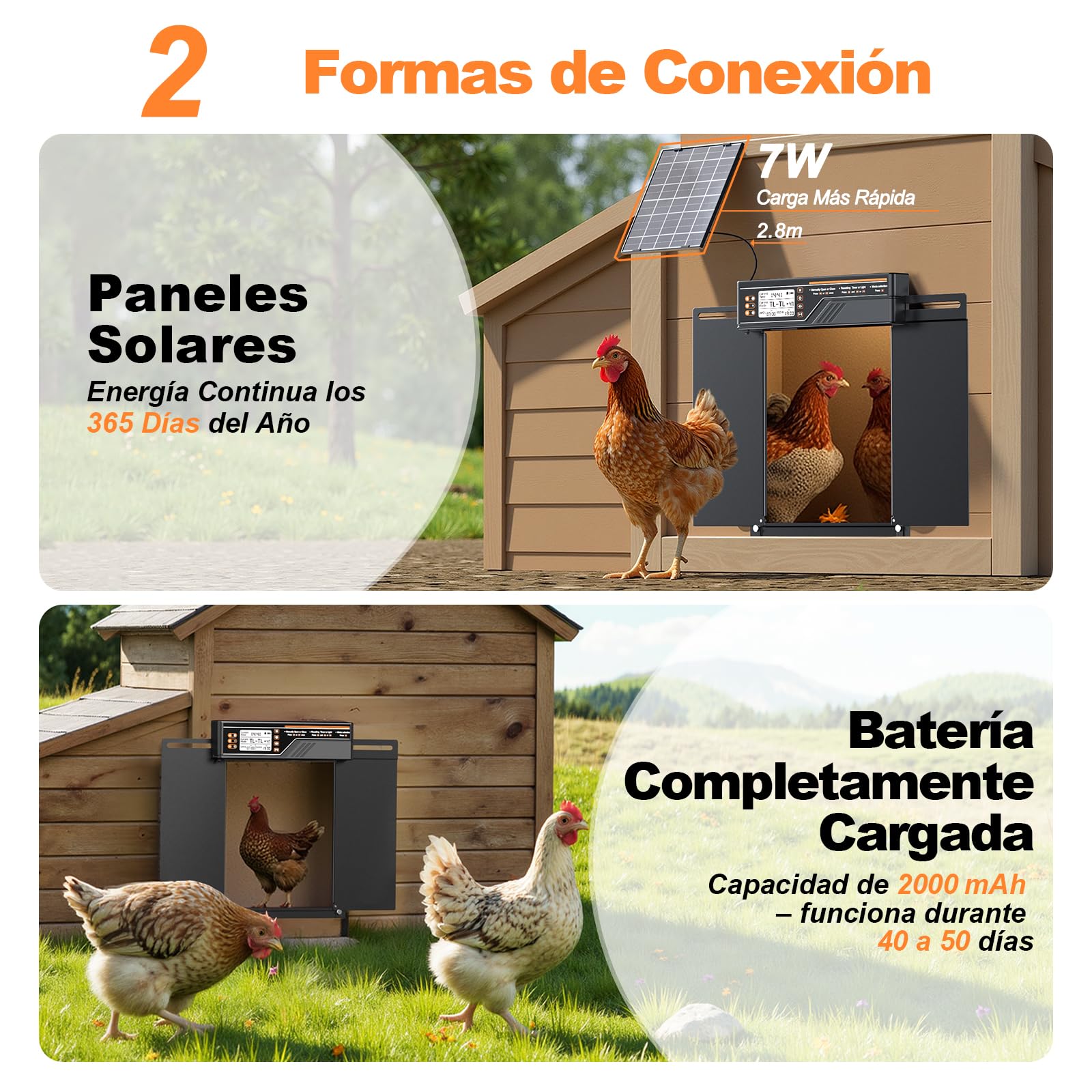 Puerta Automática Grande para Gallinero con Panel Solar de 7W, Puerta Gallinero de Aleación de Aluminio con 4 Modos, Temporizador y Sensor de Luz, Pantalla LCD de Gran Tamaño, con Mando a Distancia