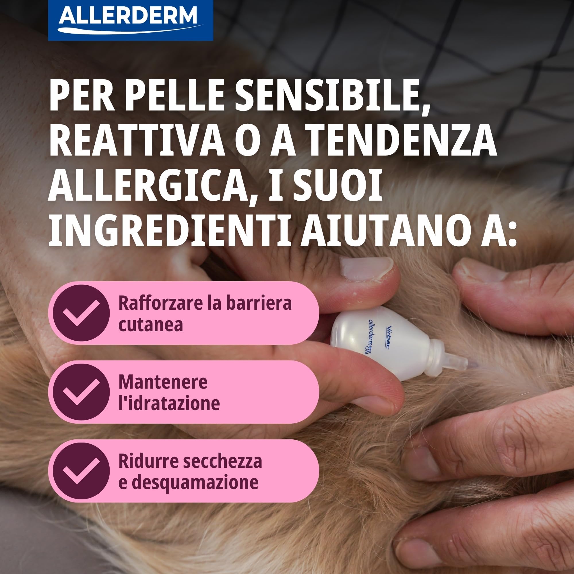 ALLERDERM SPOT-ON 4 ml 6 pip >10KG