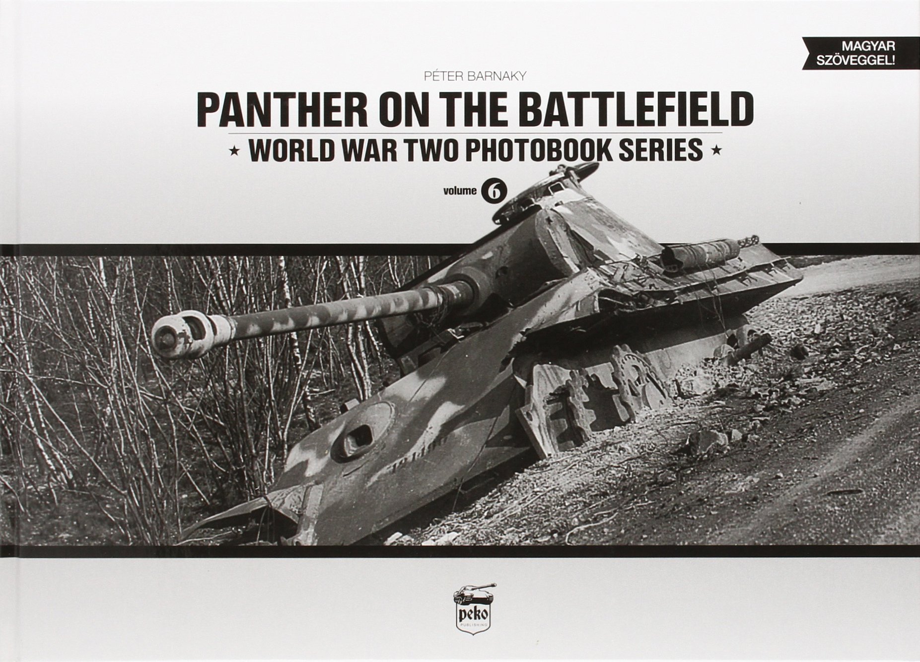 Panther on the Battlefield: Volume 1 (Panther on the Battlefield: World War Two Photobook Series)