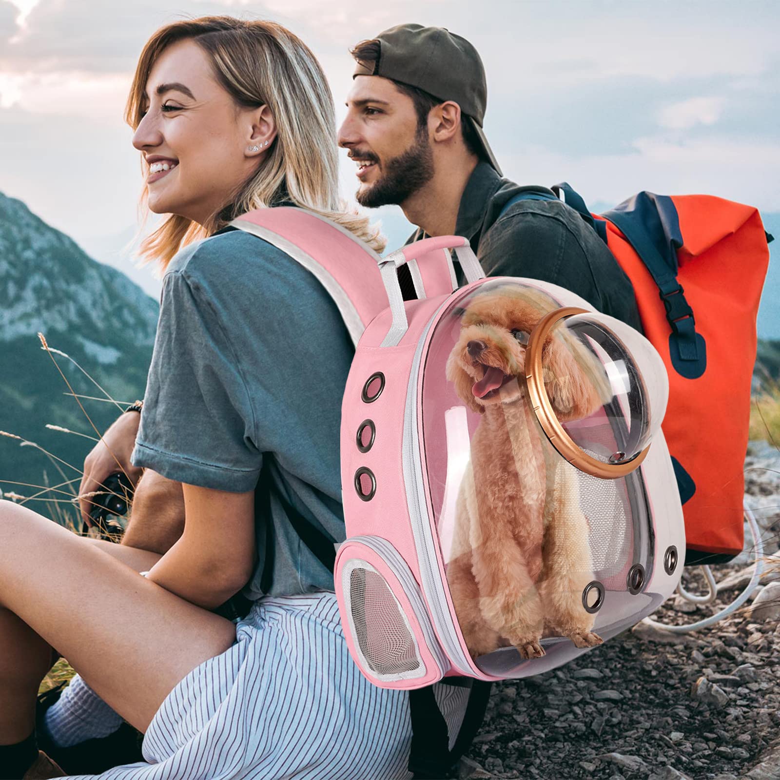 PETCUTE Haustier Rucksack Raumkapsel,Atmungsaktive Wärme Proof,Katzen Rucksack Träger mit Sicherheitsleine,wasserdichte,Katzenrucksack für Kleine Mittelgroße Hunde Katzen Welpen,für Reisen,Rosa