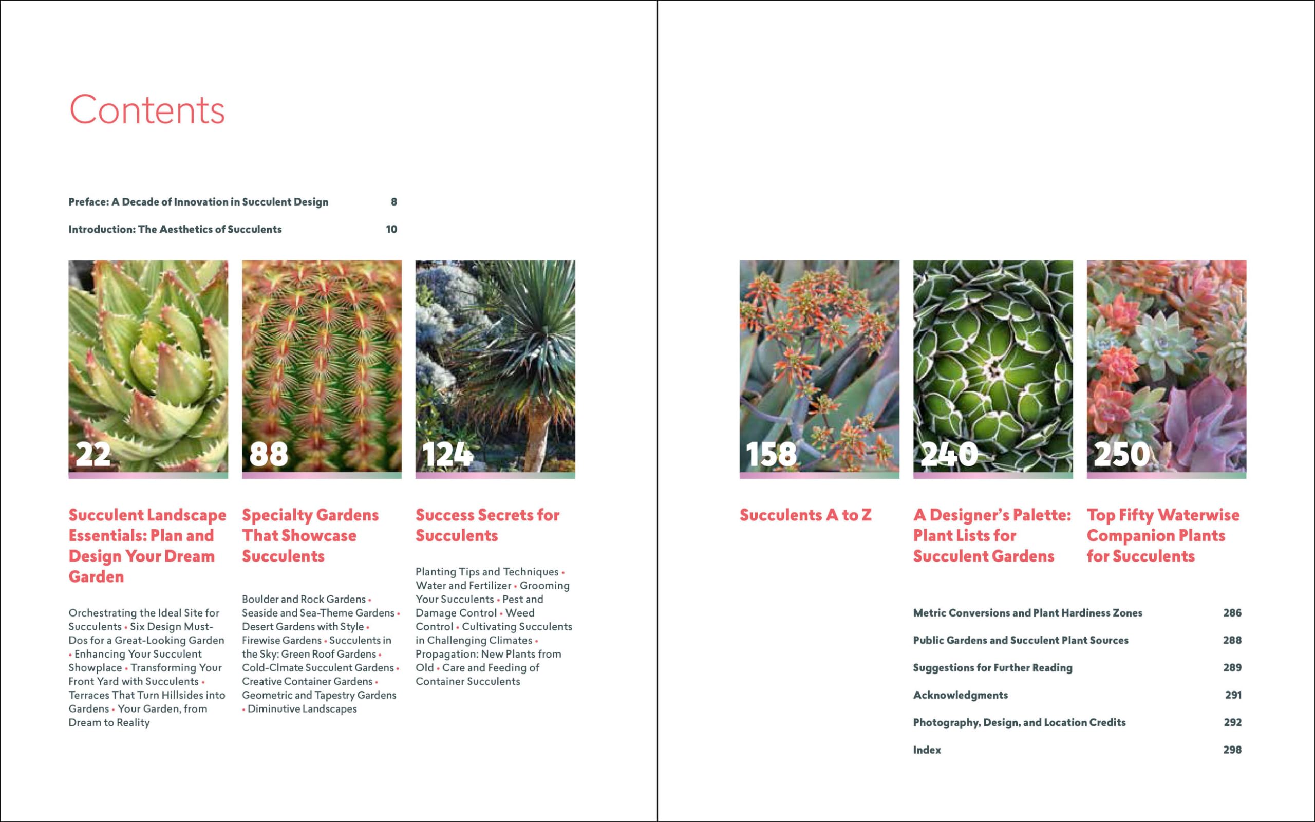 Designing with Succulents