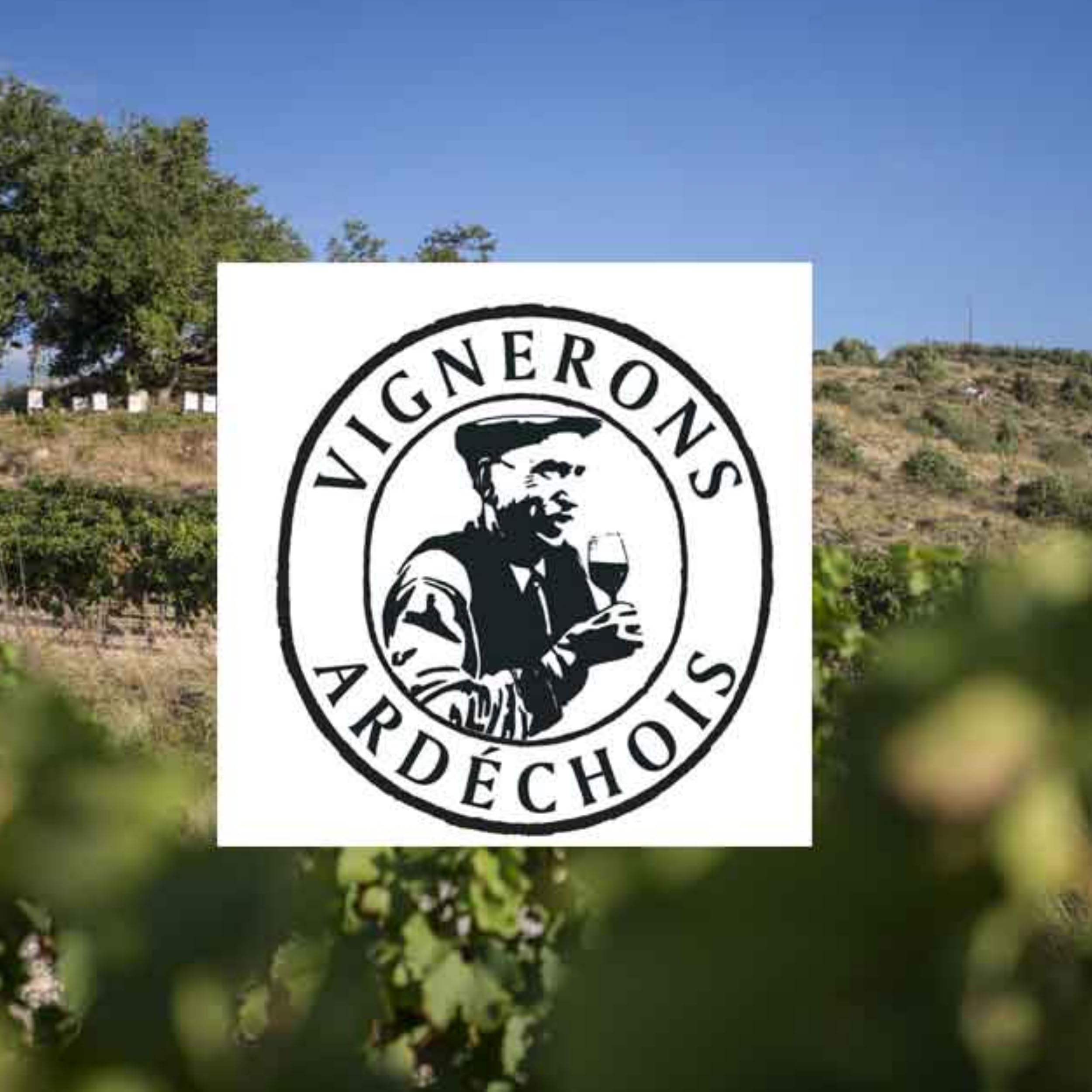 BIB Cubi Bag-in-Box Viognier - Blanc - 5L - Vignerons Ardechois