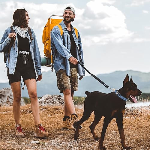 Miniatura 38 de Auroth Collar de perro Airtag, soporte ajustable para AirTag para perros medianos y grandes, soporte para collar de perro Airtag con anillo en D