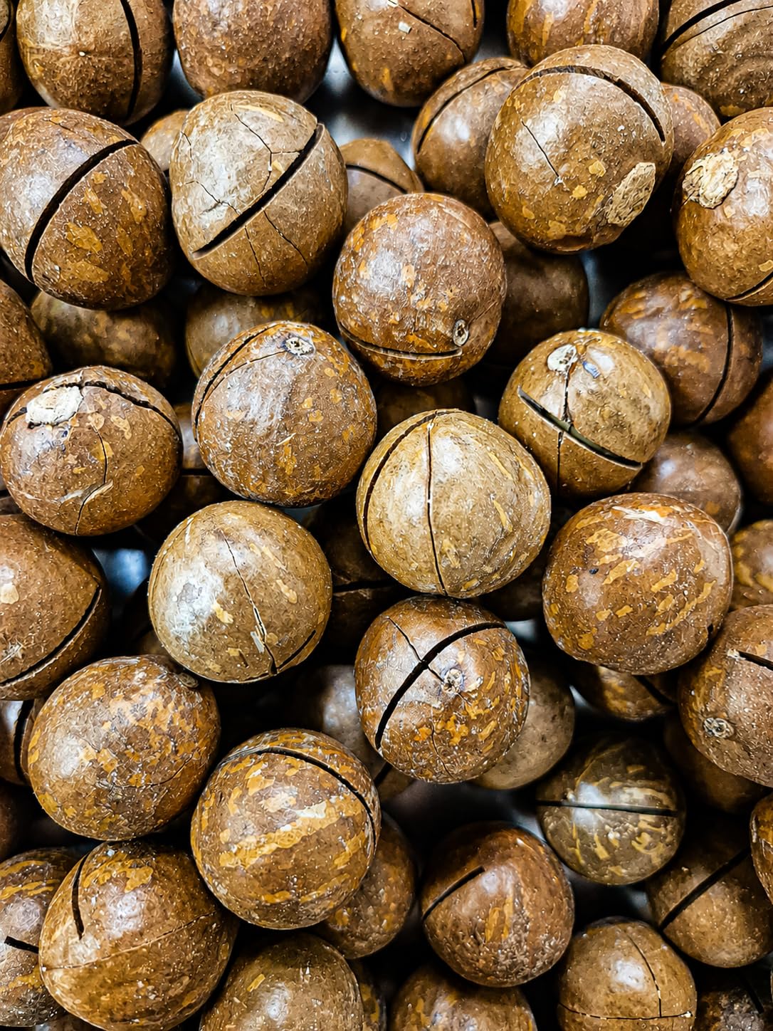 Noci Macadamia In Guscio Al Caffè 1Kg Frutta Secca Aromatizzata Snack Gourmet Croccante Tostato Premium Con Guscio Inciso Ideale Per Aperitivi Relax E Regalo Gourmet