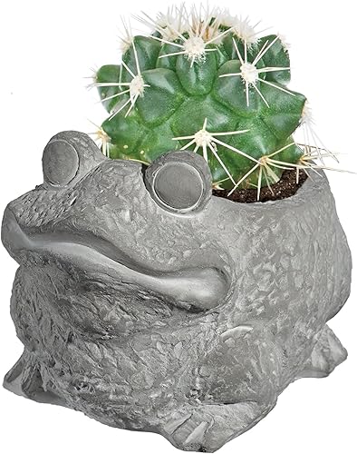 Miniatura 4 de Classic Home and Garden Cement Buddies - Macetero de rana (tamaño pequeño), color natural, Rana, S, Natural