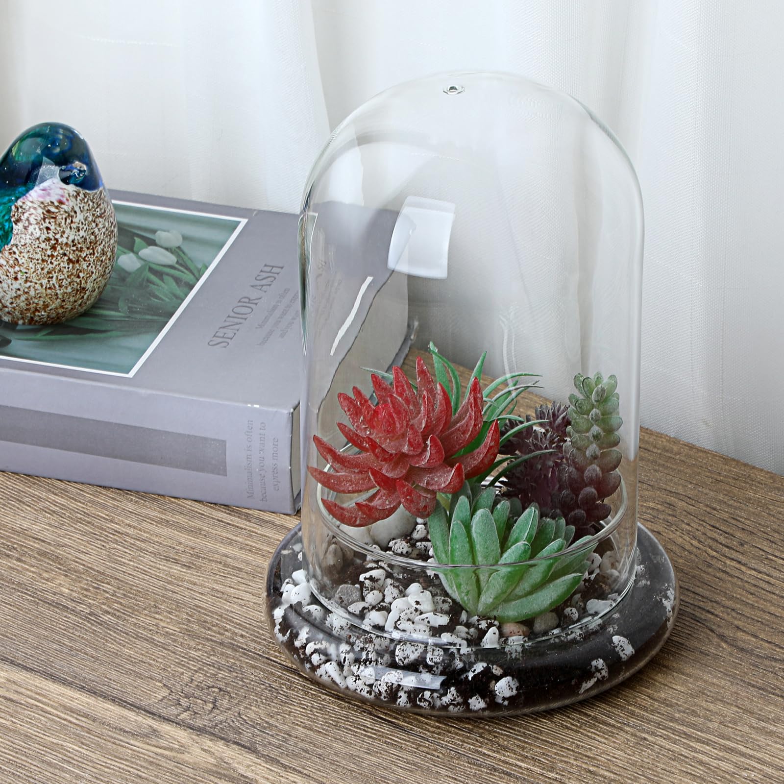 Mini pot de terrarium pour plantes succulentes - Dôme en verre transparent avec trou d'aération de 3 mm - Cloche décorative en verre avec fond en verre - Décoration de table pour bureau