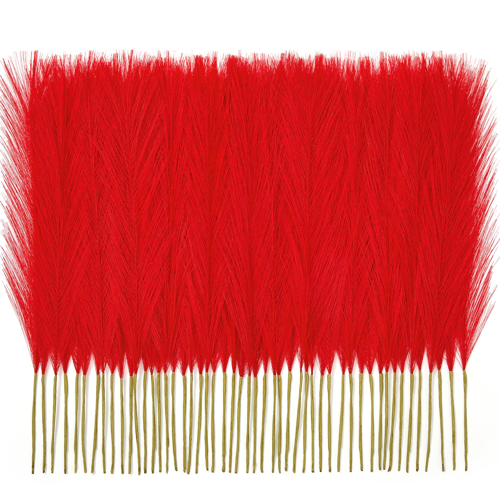 Faylifeway 50 Pcs 17 inch Red Pampas Grass