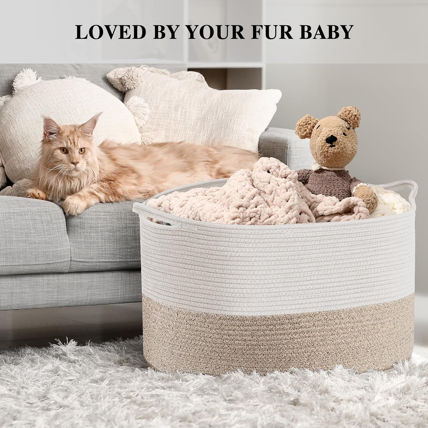 https://m.media-amazon.com/images/I/818sS4UMHmL._SL1500_.jpg