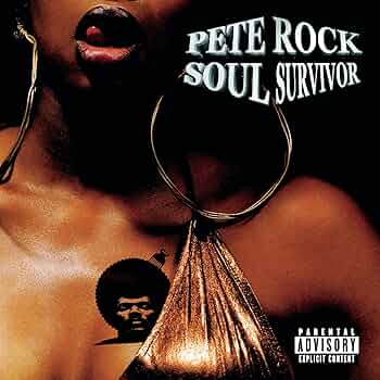 PETE ROCK  SOUL SURVIVOR ★ 2LP 61ko1Y4TAYL._SY200_QL15_.jpg