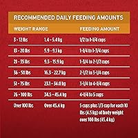 Vista 19 de Purina ONE SmartBlend - Alimento seco natural para perros adultos