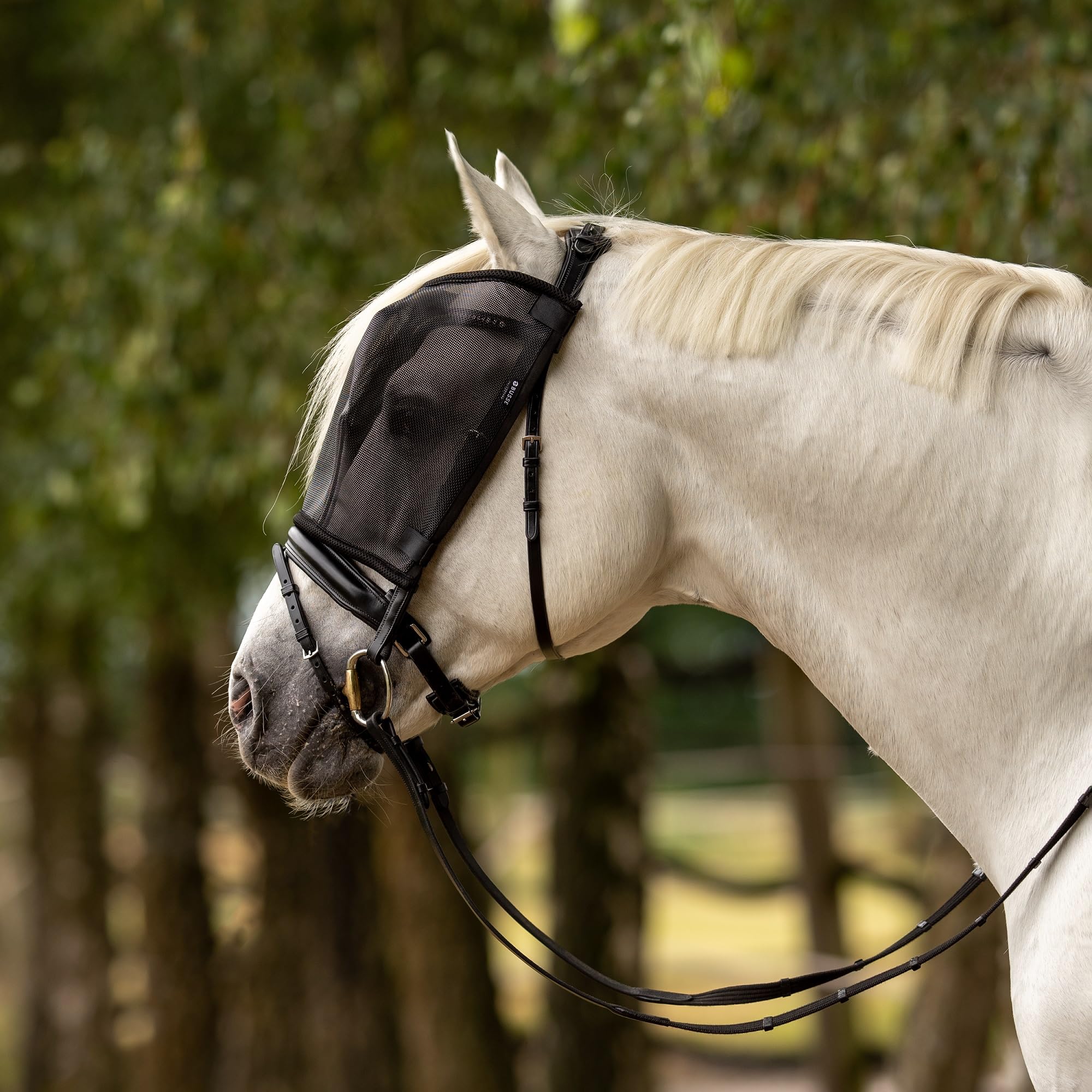 Mascarilla de mosca Riding Negro WB