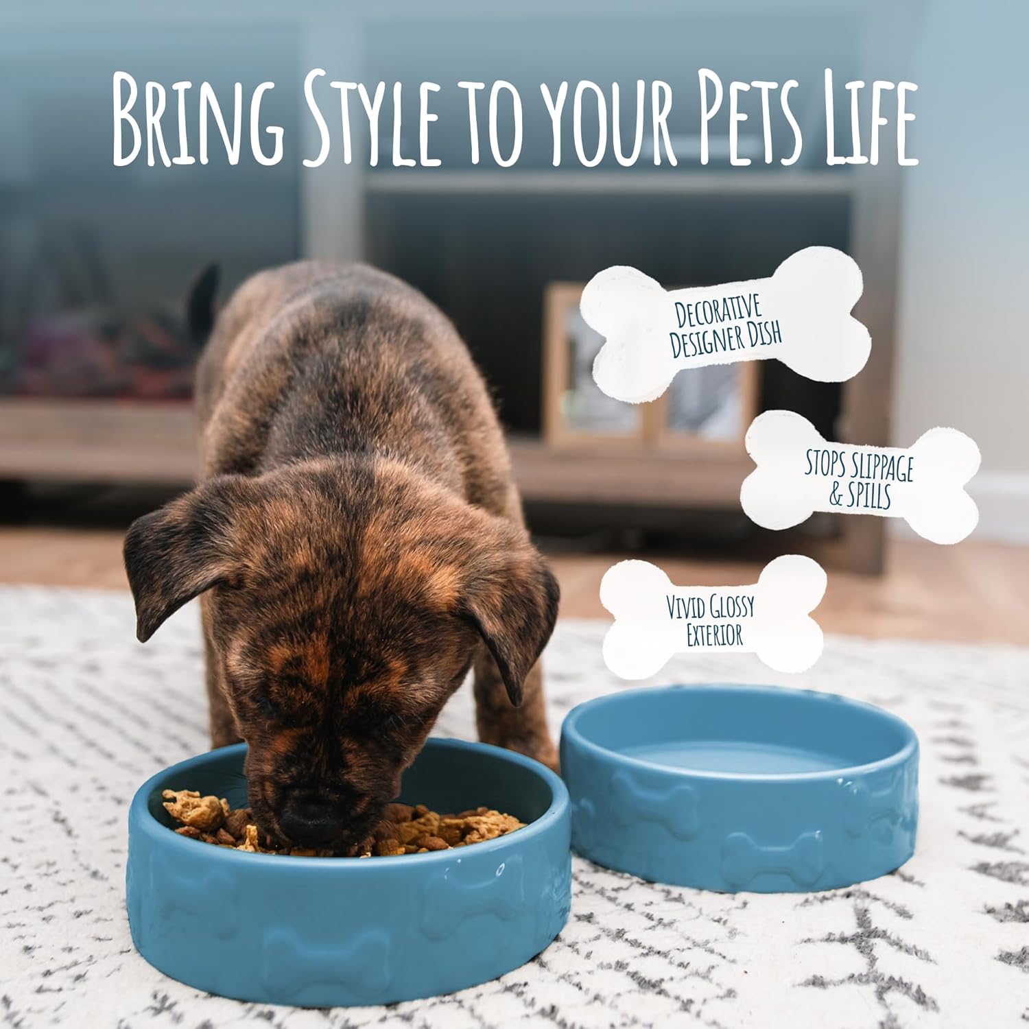 Park Life Designs Manor Large Ceramic Pet Bowl – Azure, Shallow Design for Cats, Dogs & Rabbits