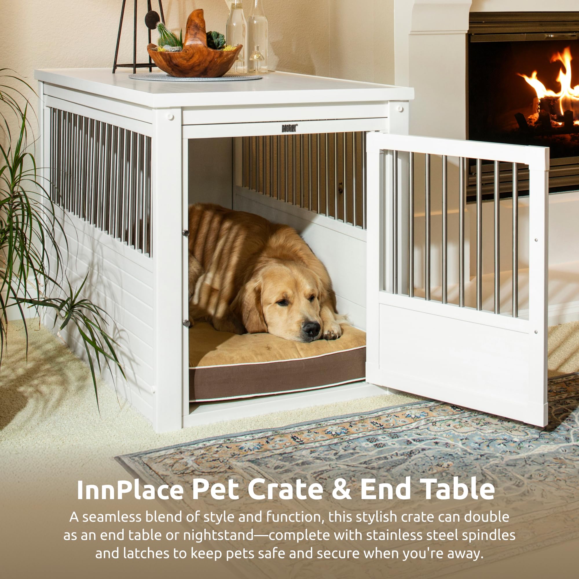 Amazon.co.jp: NEWAGEPET（ニューエイジペット）: 犬用品