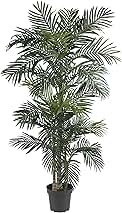 Nearly Natural 6.5ft (78″) Golden Cane Artificial Palm Tree – Lifelike Indoor Silk Palm with 3 Textured Trunks, 333 Flexible Fronds, Nursery Planter, No-Water Maintenance