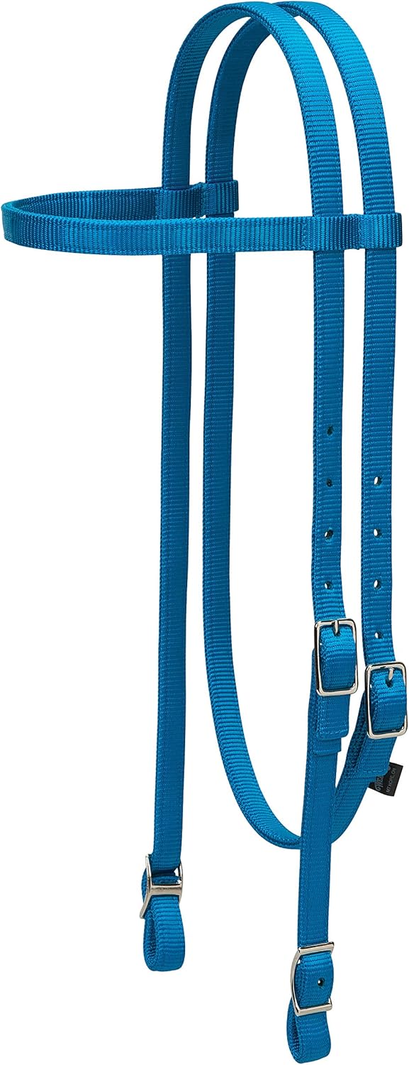 Weaver Leather Nylon Browband Headstall , Black, Horse : Sports & Outdoors