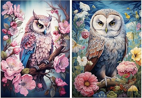 YOYA Paquete de 2 kits de pintura de diamante de búho, arte de diamante de búho para adultos, pintura de diamante de búho de bricolaje, puntos de