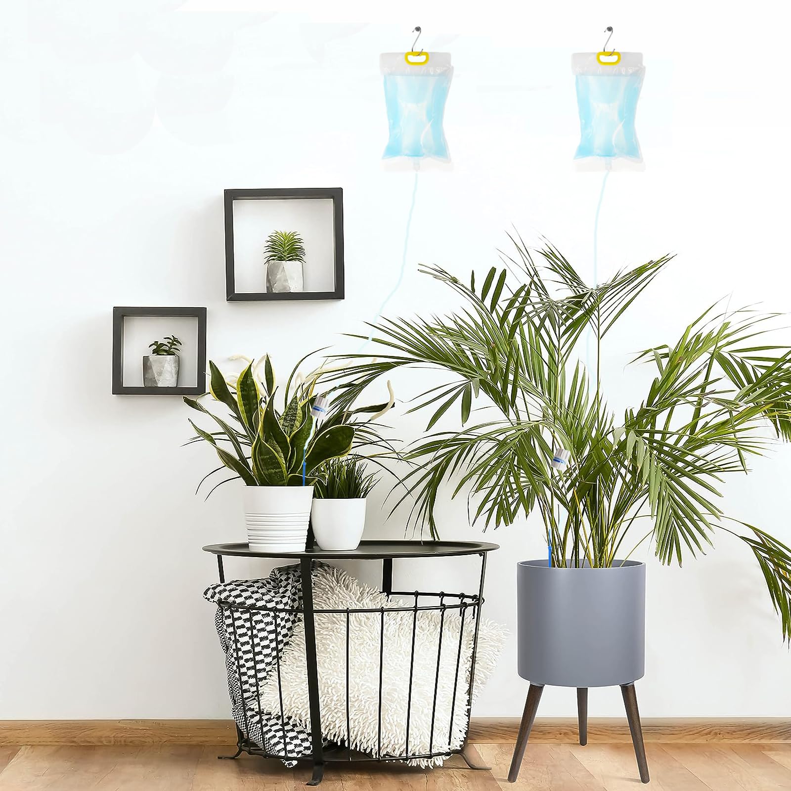 Kit D'arrosage Automatique Pour Plantes - 5 Sacs 3,5L Avec Système Goutte-à-goutte | Idéal Pour Vacances Et Intérieur/extérieur