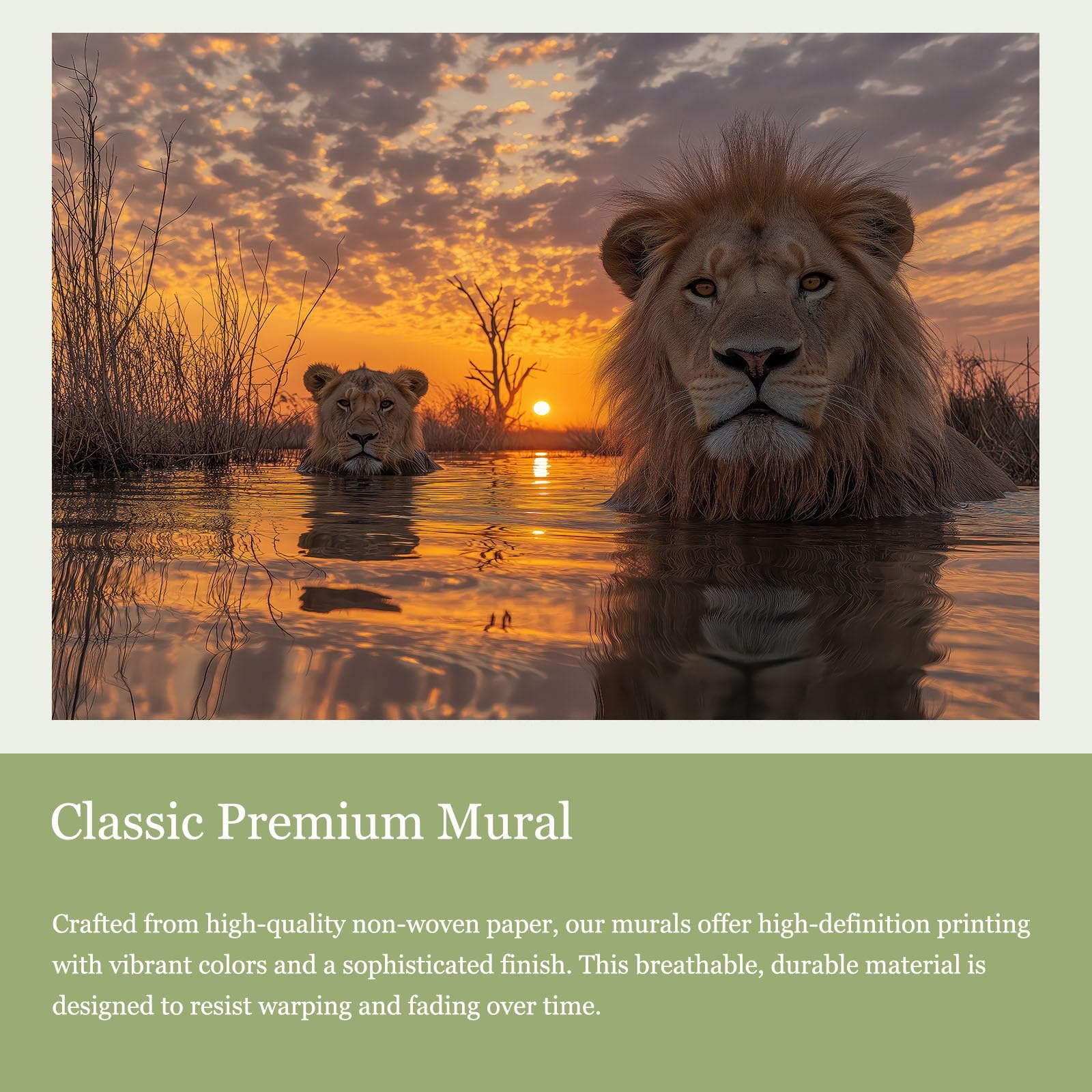 Carta da parati fotografica in tessuto non tessuto, motivo: leone al tramonto, 350 x 256 cm (larghezza x altezza), per cucina, sala da pranzo, ufficio, carta da parati, decorazione artistica