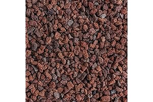 Bonsai Lava Rocks: Red Volcanic Rock for Plant Vitality
