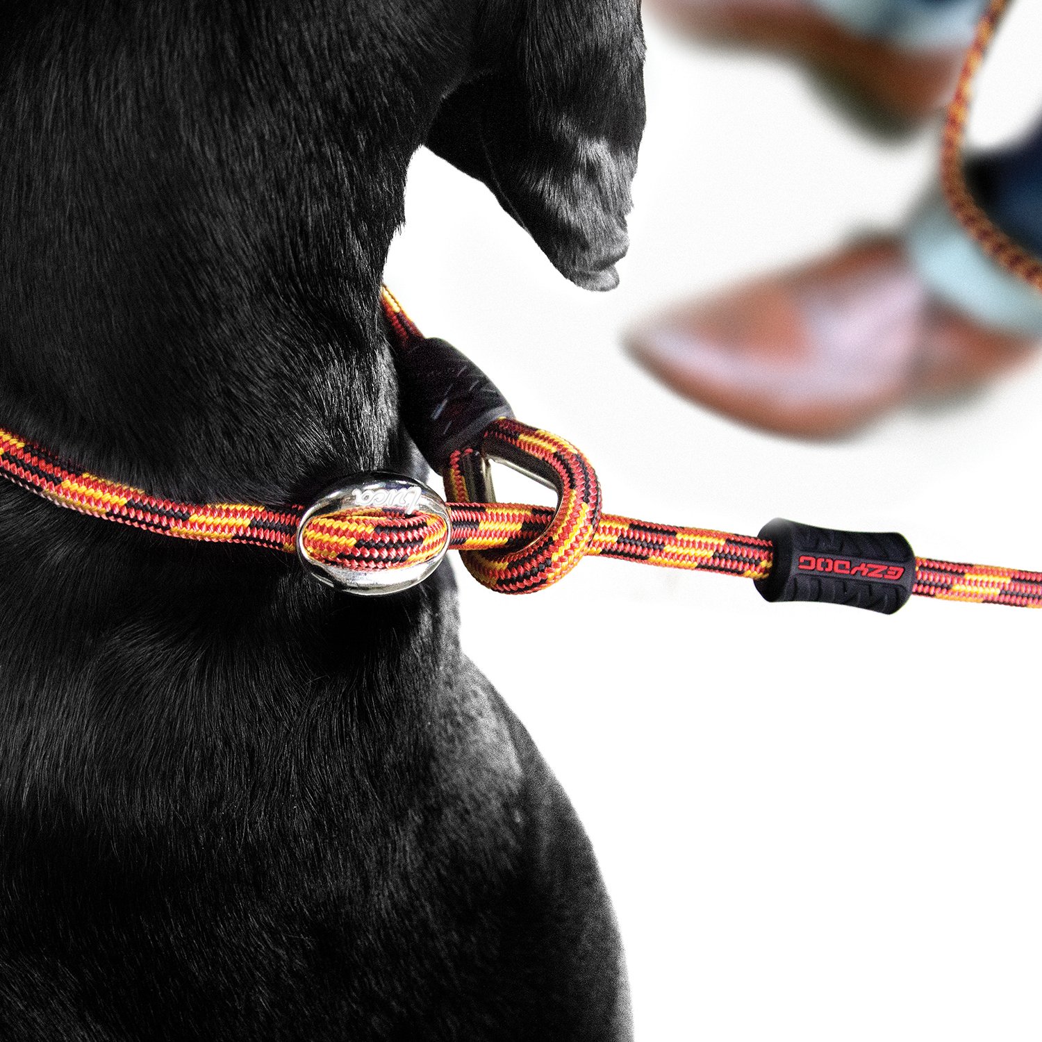 ezydog slip lead