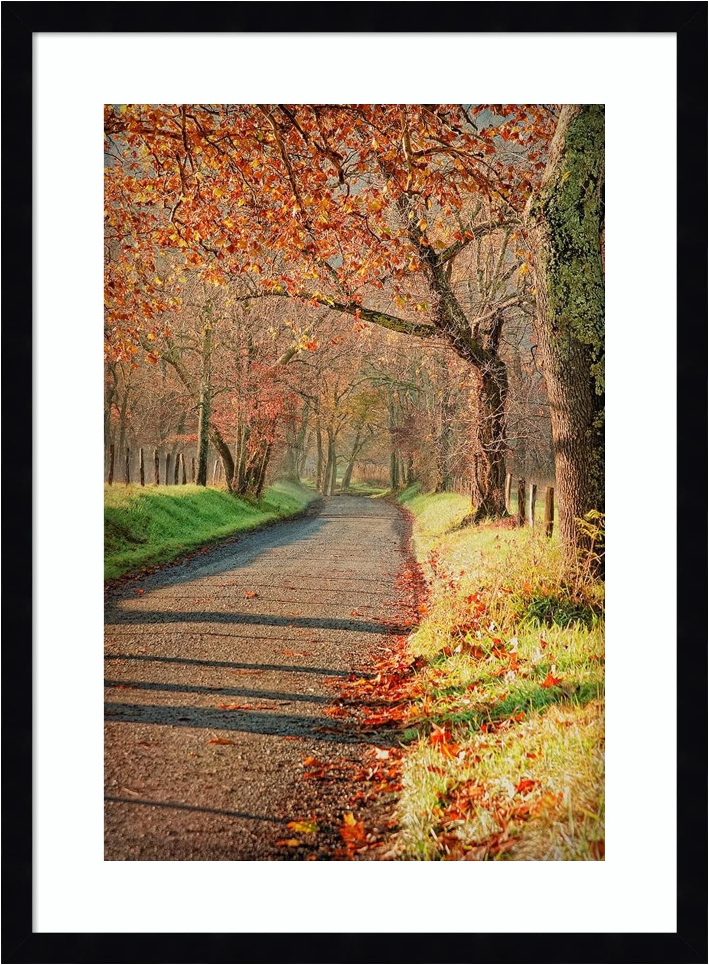 Amanti Art Framed Wall Art Print 25x19 Morning on Sparks Lane III by Danny Head, Landscapes Wall Art, Rustic Farmhouse Decor, Medium Poster Painting Artwork for Living Room, Bedroom, Bathroom,