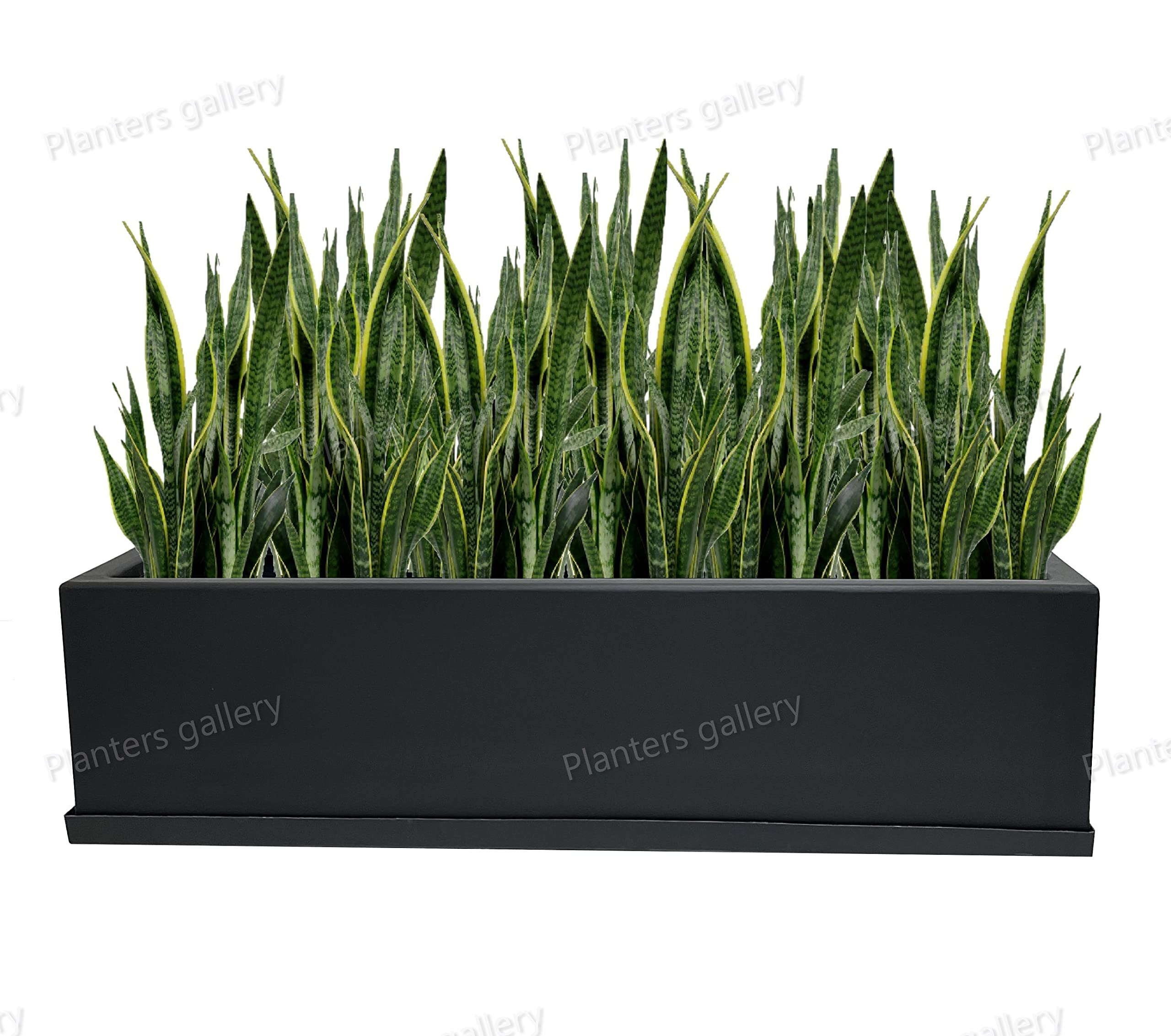 Modern rectangular fiberglass planter/indoor and outdoor pots for plants with drainage holes/flower tree planters/includes tray (Black Grey Matte)