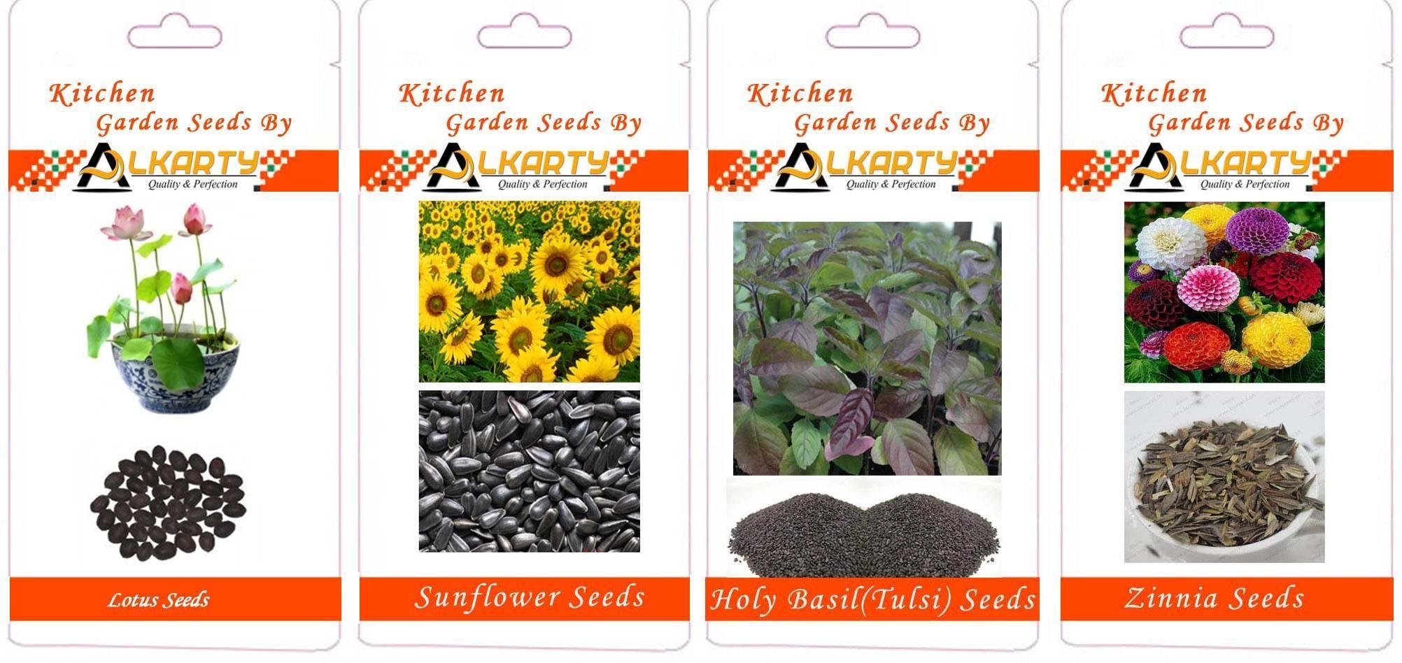 Lotus, Sunflower, Tulsi, Zinnia Summer Flower Seeds Pack of 20 Each-image-48