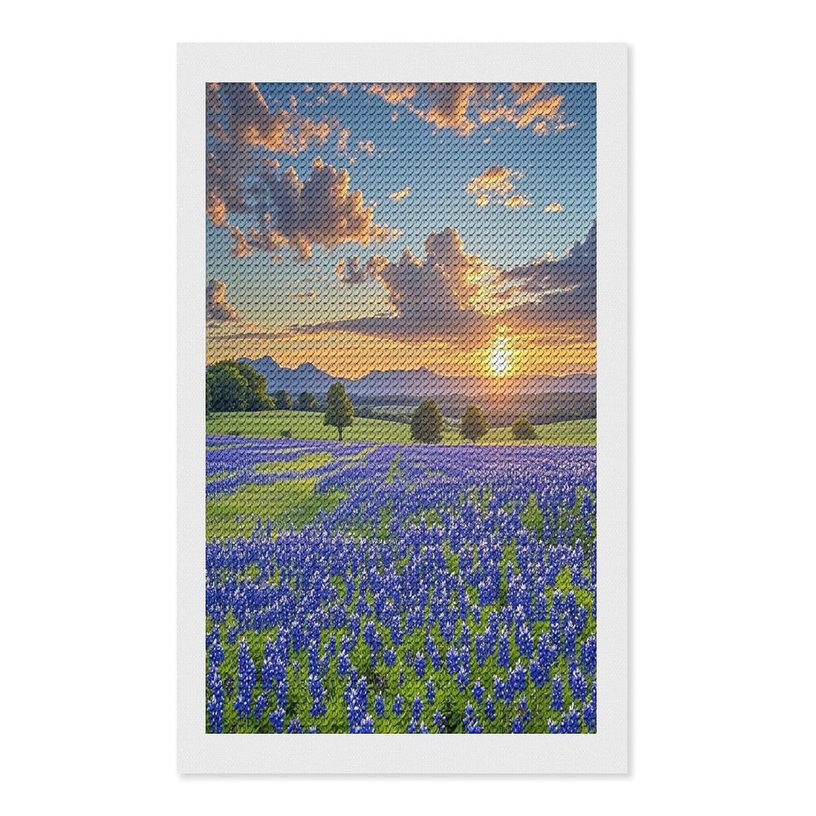 Texas Bluebonnets Scenery Diamond Painting Kits for Beginners DIY Diamond Art Kits for Adults Full Drill Round Diamond Dot Gem Art Painting Fun DIY Crafts for Home Kitchen Wall Decor Gift 12"x20"