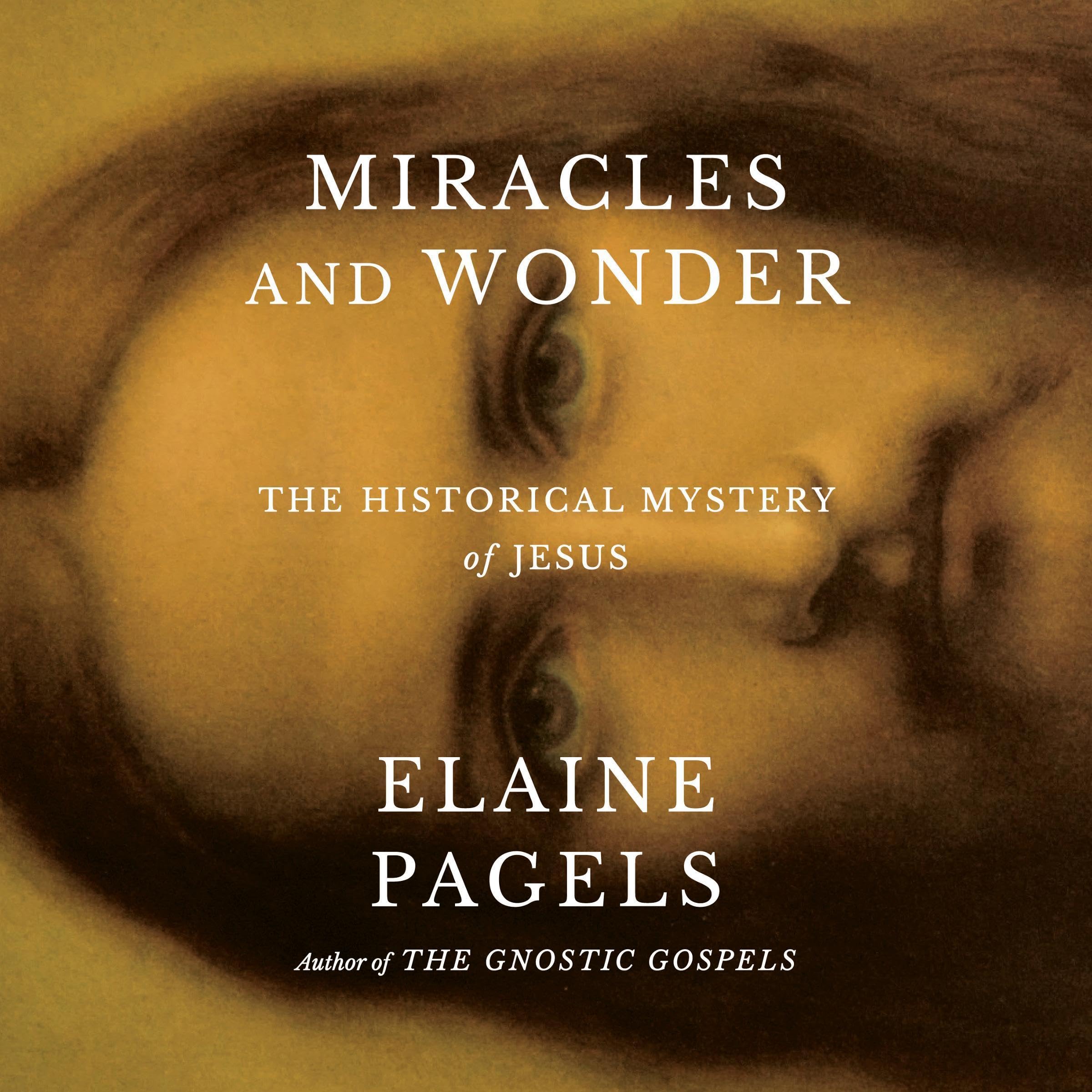 Cover art for Miracles and Wonder