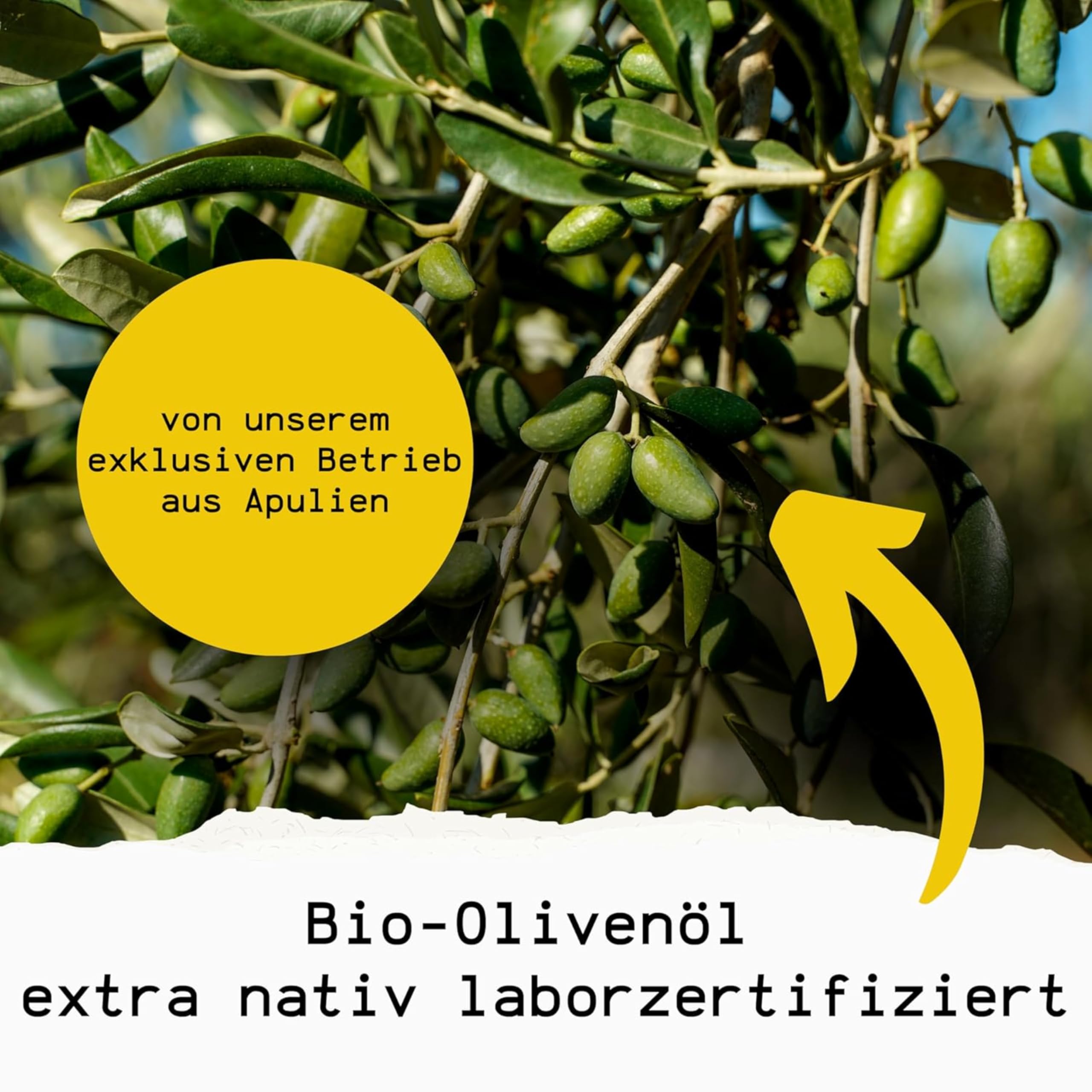 Prodotti Amano Gesichtsöl 30ml, 100% Organic Face Oil für Damen & Herren | Regenerierend & schnell einziehend, Anti Aging Bio Öl mit Vitamin E für alle Hauttypen, Vegan, Ohne Silikone & Parabene