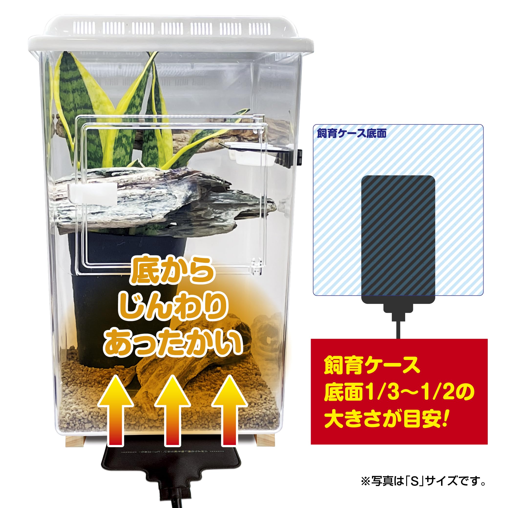 aisureo　POPO パネルウォーマー 8V ペット用保温　7個 Amazon | 爬虫類 パネルヒーター スドー ハープウォーマー L 爬虫類