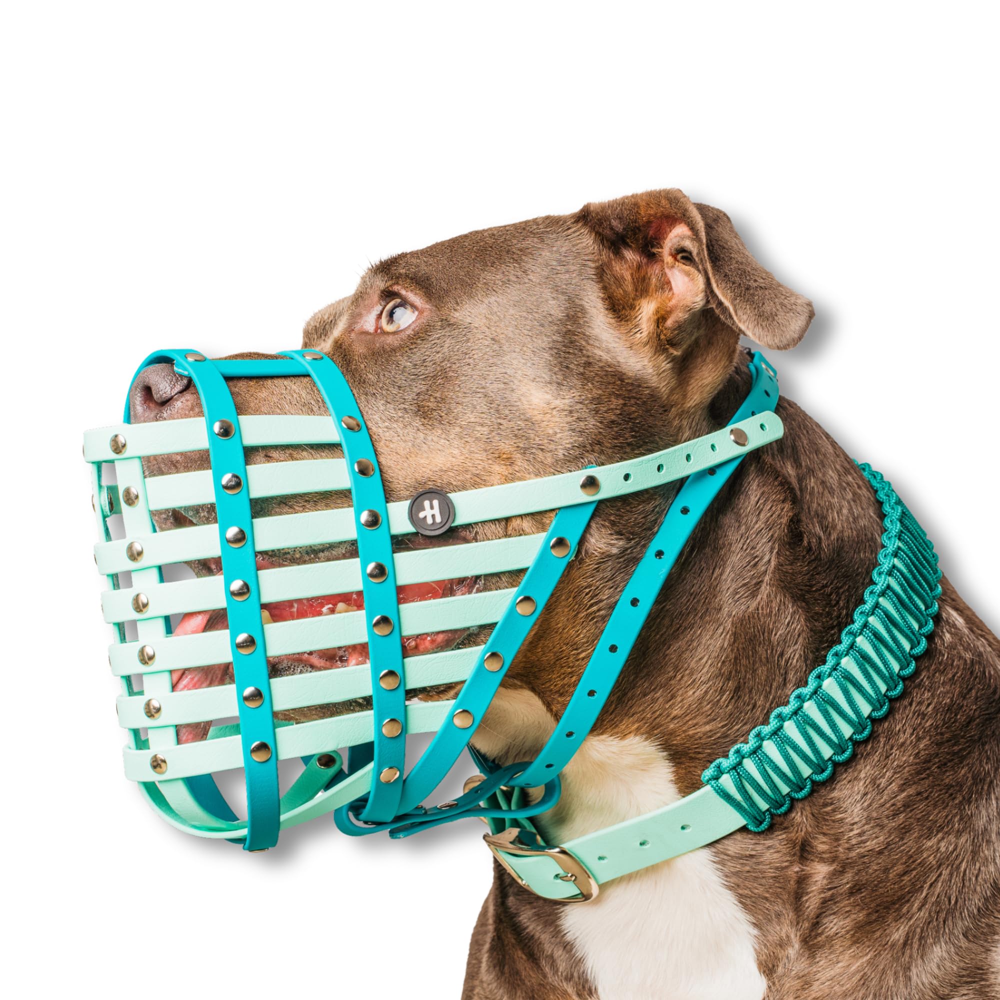 Dog Muzzle for Medium to XL Dogs – Adjustable, Comfortable & Durable Biothane Design with Stainless Steel Fixings – Waterproof, Lightweight & Soft Fit by Happy Muzzle Co. (Teal, Size Woof)